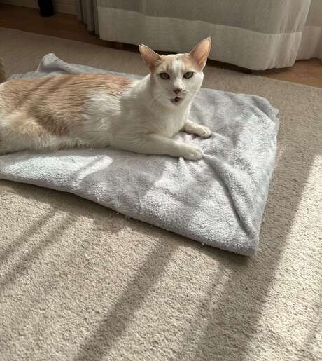 Middle 5ajalrnemgrmjdd ptnhba