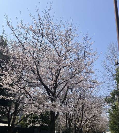 Middle uhglymyhf4be2hxnxr7 sa