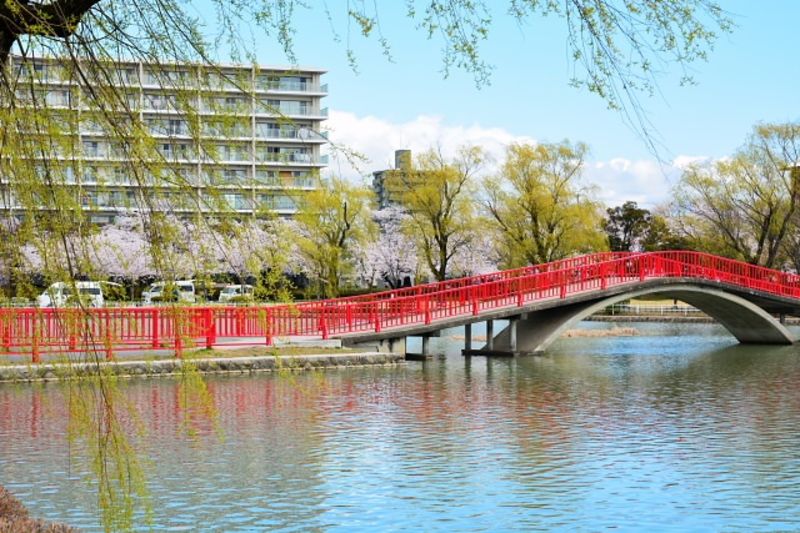 福島県中地域の地方自治体による結婚支援サービス情報
