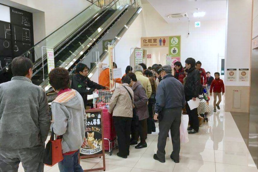 20161231_shimachu_ky_002