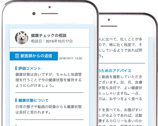 獣医師からの回答例