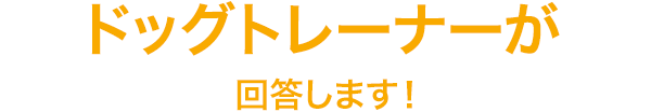 ドッグトレーナーが回答します!