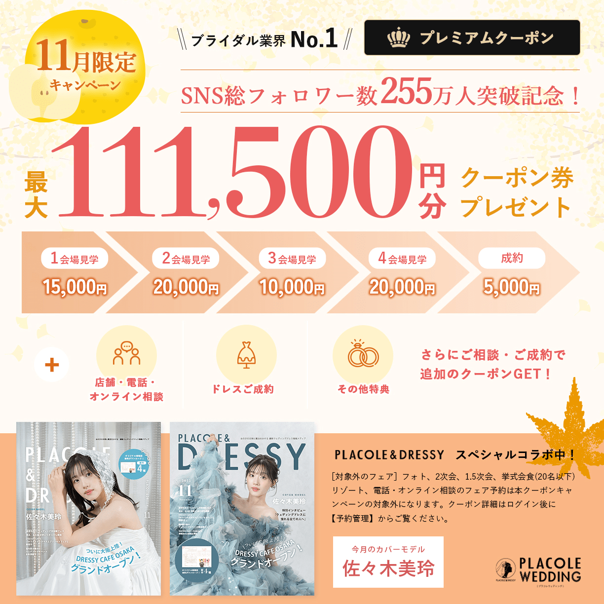 最大111,500円分クーポン券プレゼント