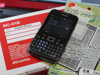 20100226sc-01b.jpg