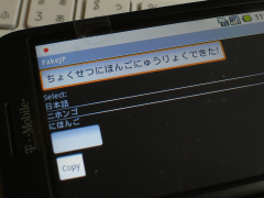 fakejp200811131.jpg