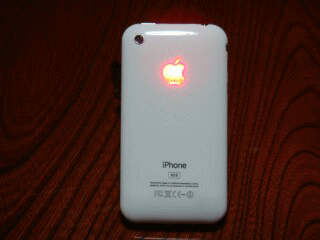 本人はひかり物はいまいちらしい