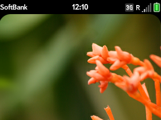 unknown_2009-02-12_001050.png