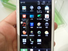 SAM_2729