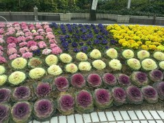 htcjIMAG0287