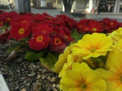 htcjIMAG0288