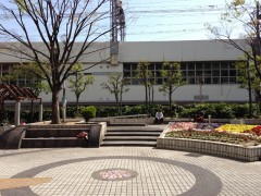 ip5IMG_0006 (1000x750)