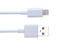 ss_momax_lightningcable