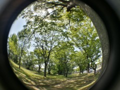 20130508_133310_HDR (1000x750)