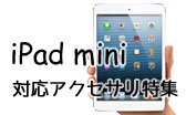 ipadmini