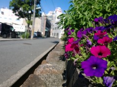 WP_20130812_15_34_09_Pro (1000x747)