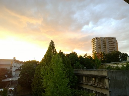 Lumia 1020