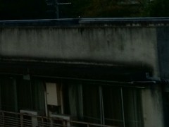 Xperia Z1