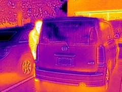 車の陰に誰かいる!