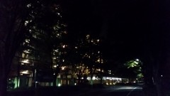 Galaxy S5, ISO2000, 1/17s