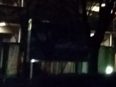 20141002_010314S5_2000_1_17crop Galaxy S5, ISO2000, 1/17s