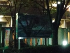 20141002_010716G3_crop G3