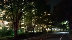 Xperia Z3, ISO3200, 1/16