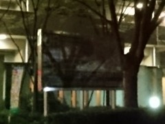 DSC_0004z3_3200_1_16_crop Xperia Z3, ISO3200, 1/16