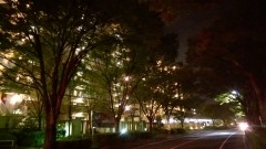 HTC One M8, ISO3200, 1/9