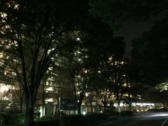 iPhone 6 Plus, ISO500, 1/4