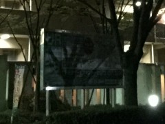 IMG_0010ip6p_500_1_4_crop iPhone 6 Plus, ISO500, 1/4