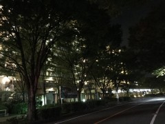 iPhone 6, ISO2000, 1/15