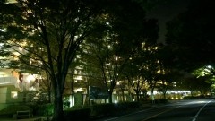 Lumia 1020, ISO2000, 1/4