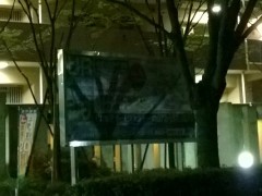 WP_20141002_00_51_51_Pro2000_1_4_crop Lumia 1020, ISO2000, 1/4s