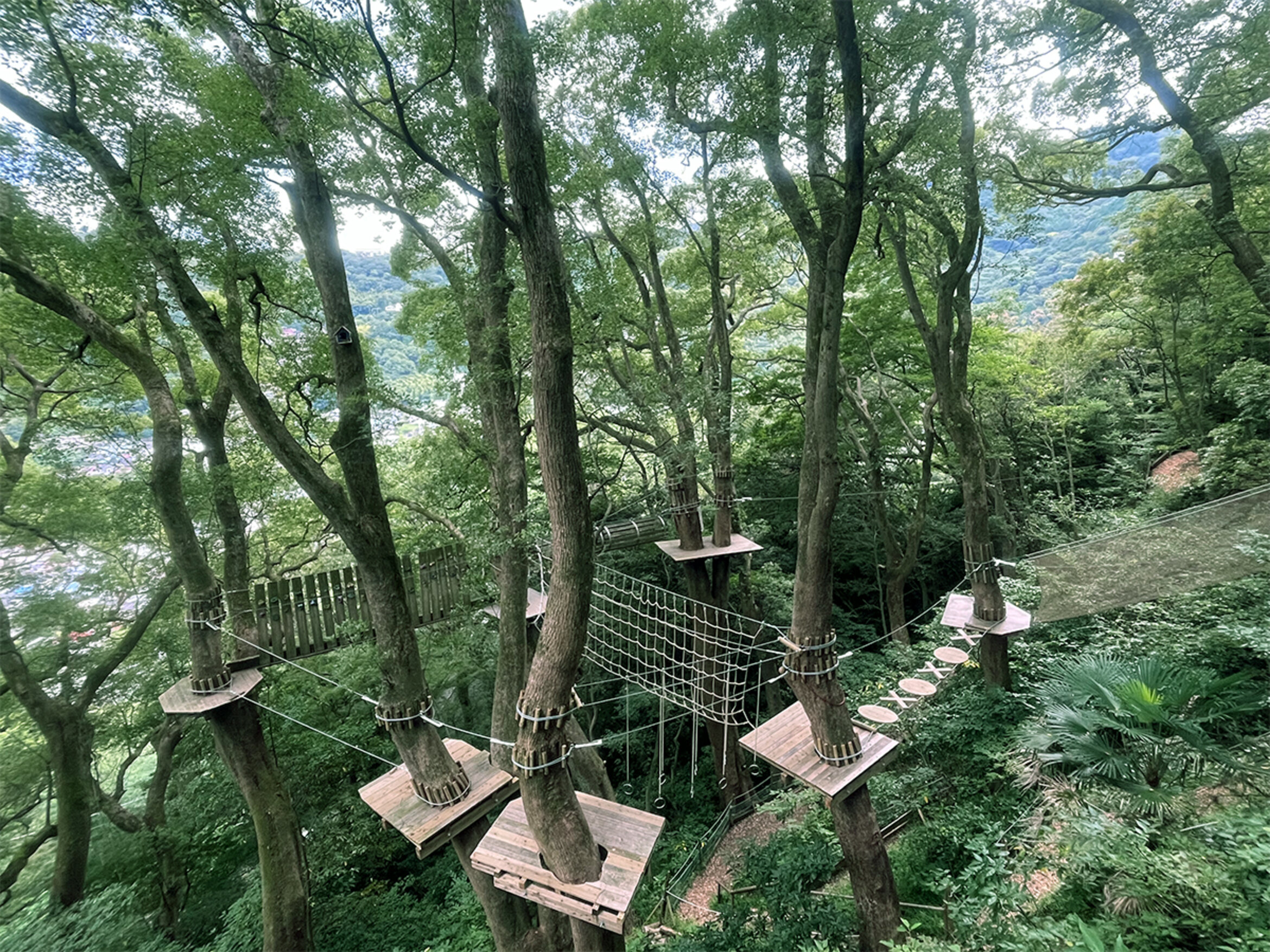 画像のaltを設定してください