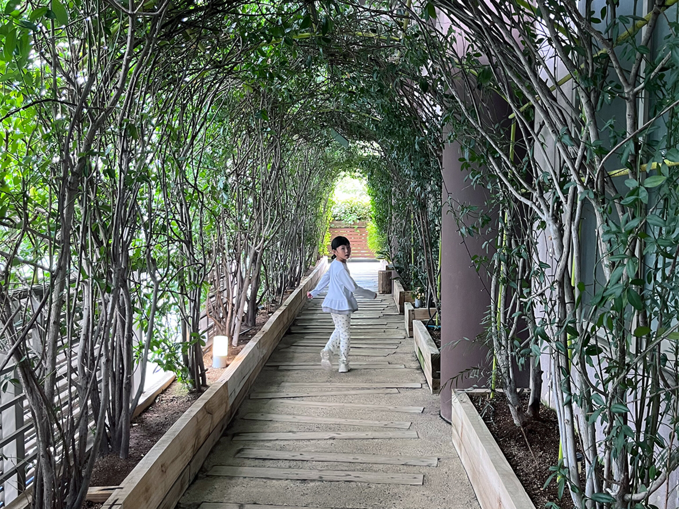 画像のaltを設定してください