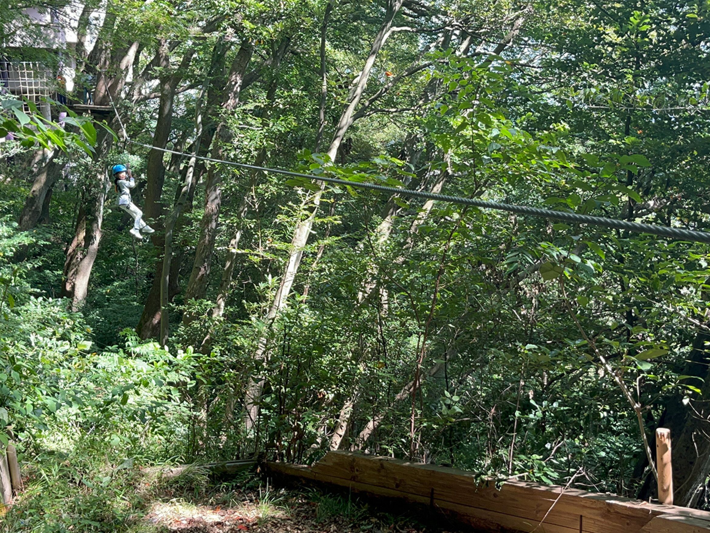 画像のaltを設定してください