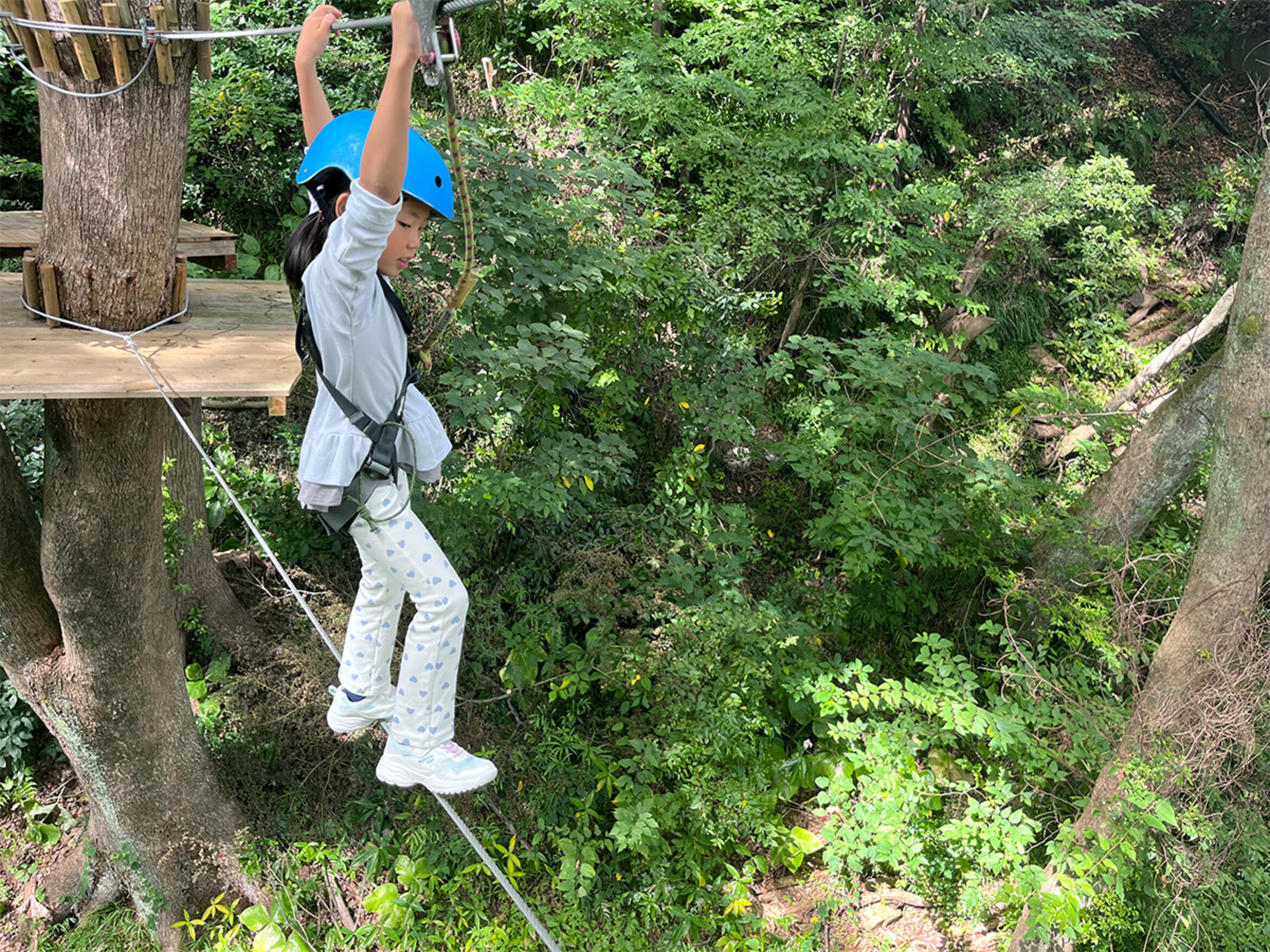 画像のaltを設定してください