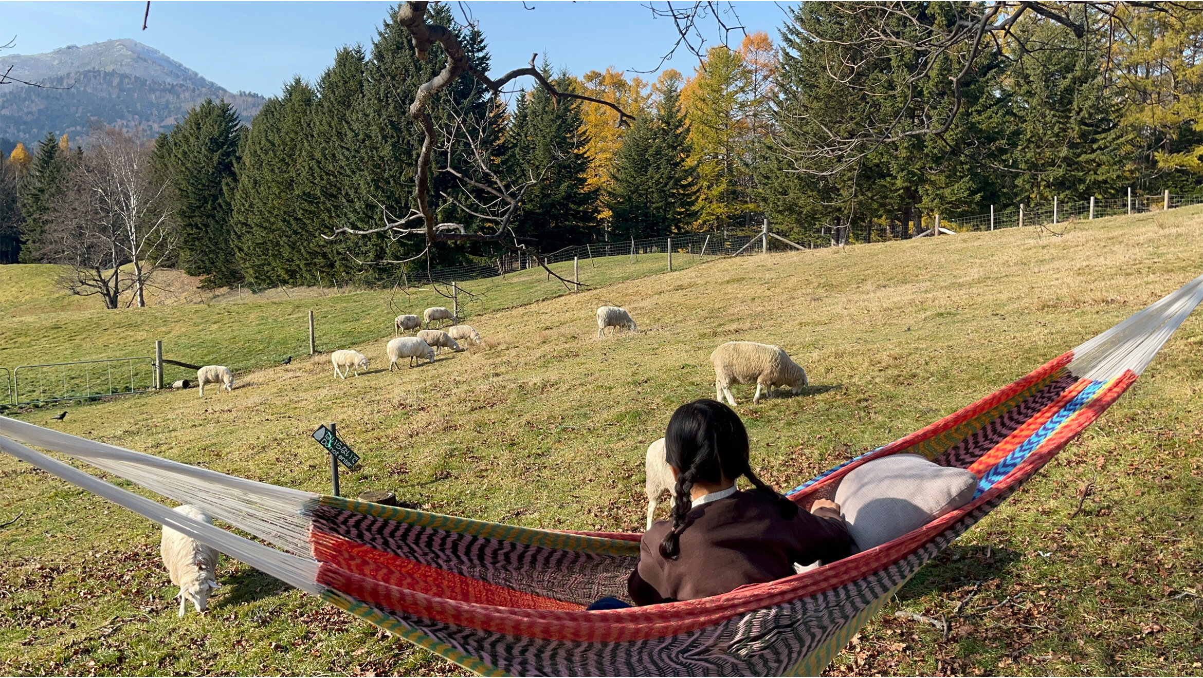 画像のaltを設定してください