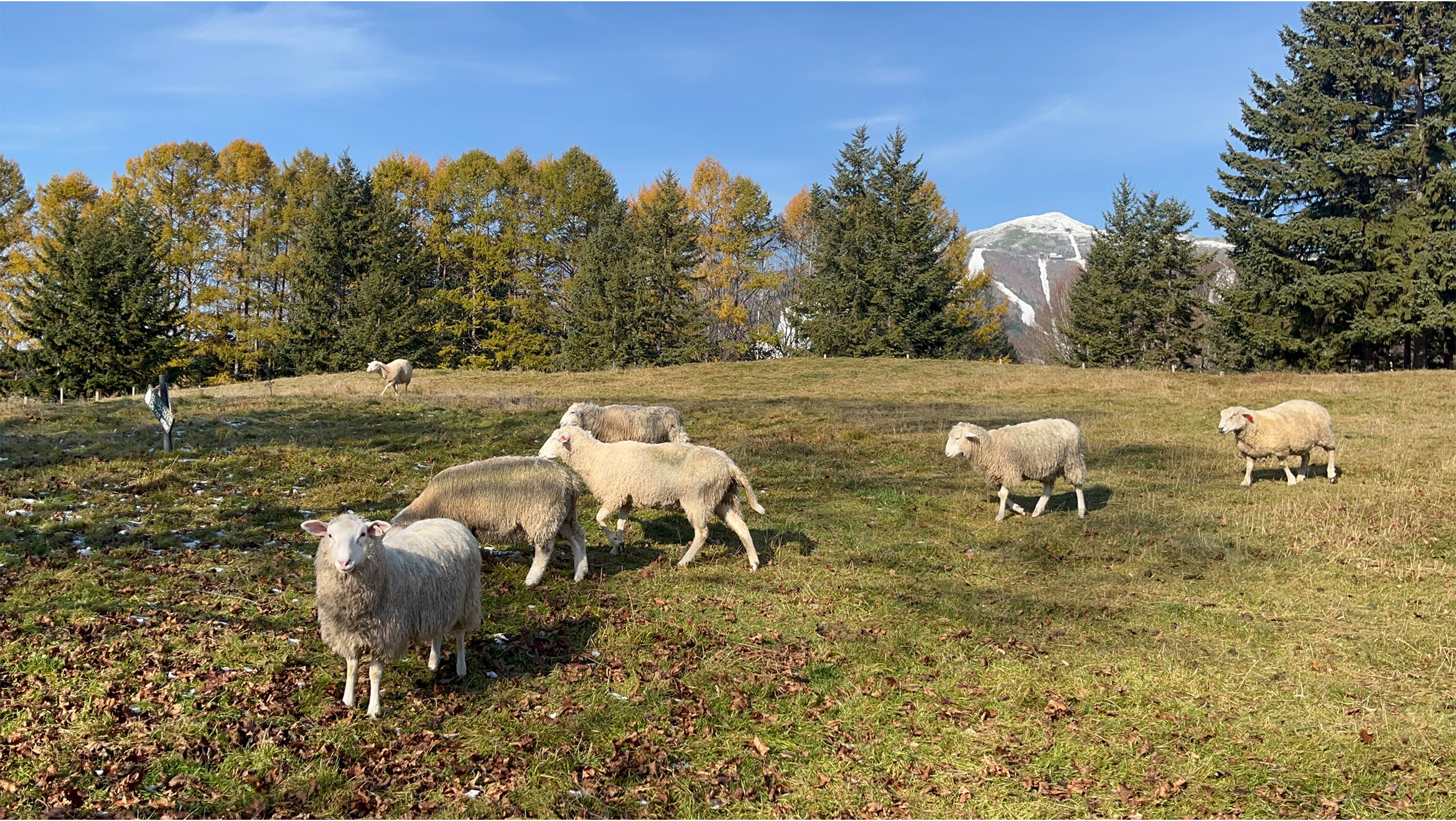 画像のaltを設定してください