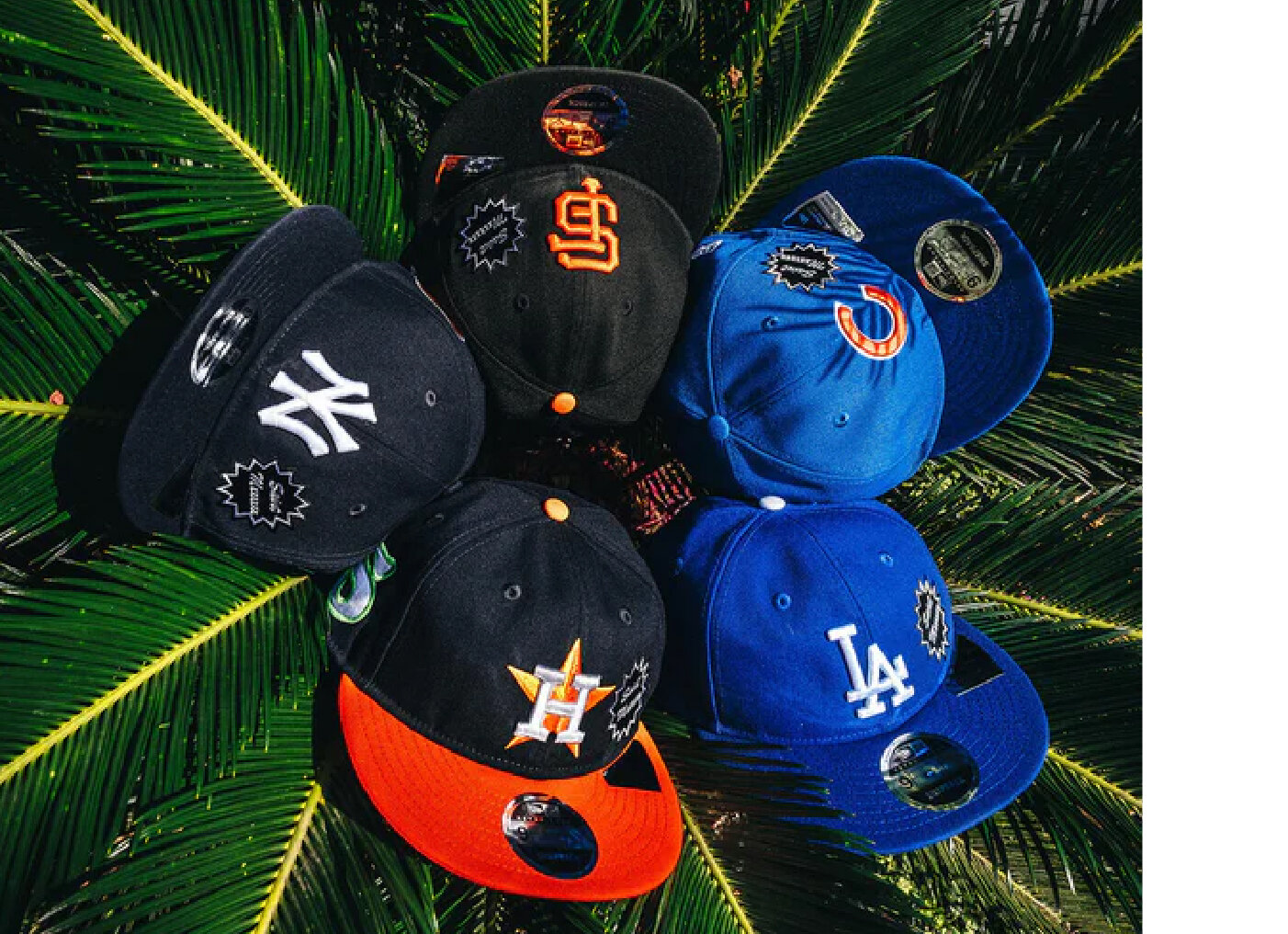 画像のaltを設定してください