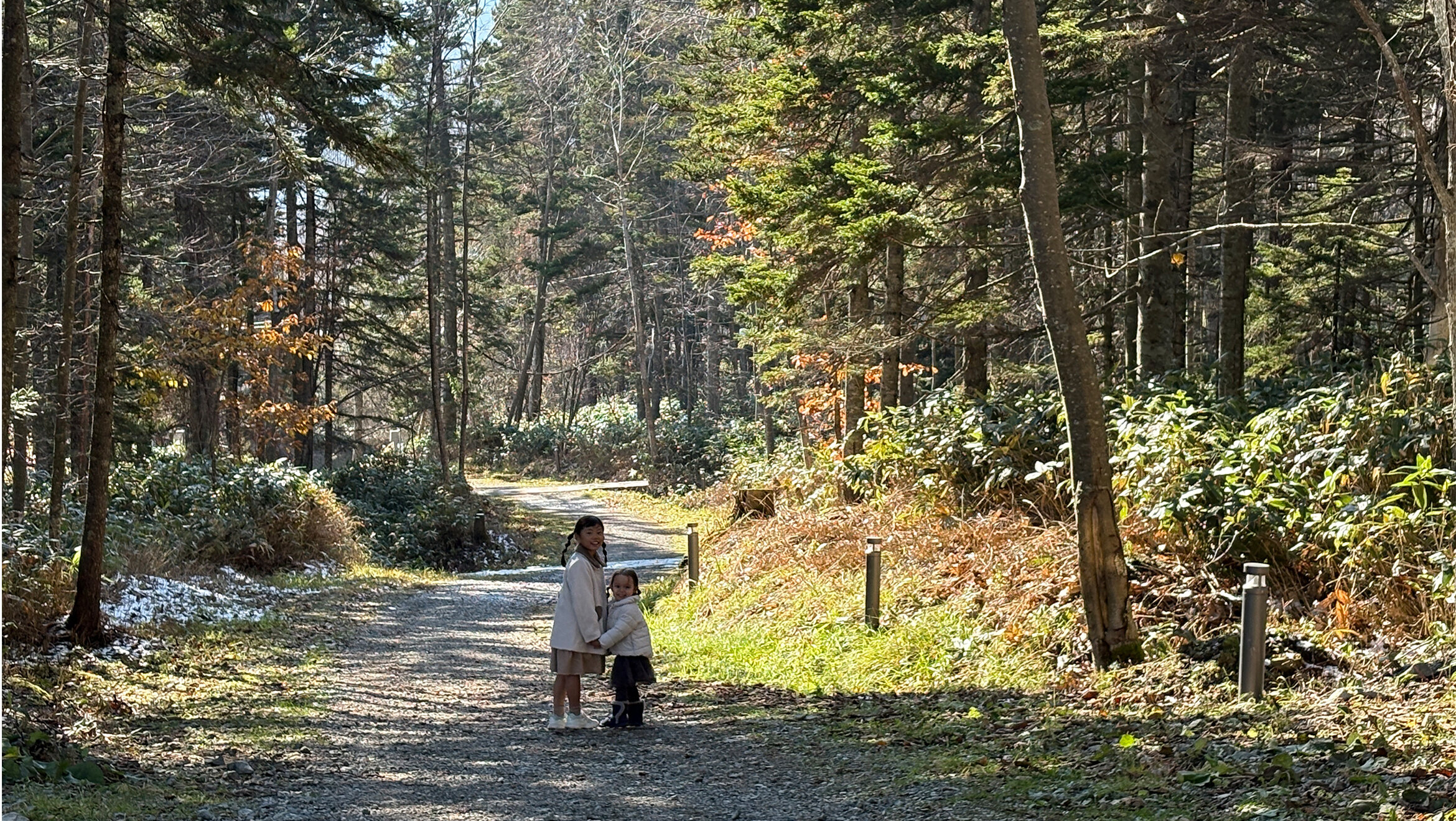 画像のaltを設定してください