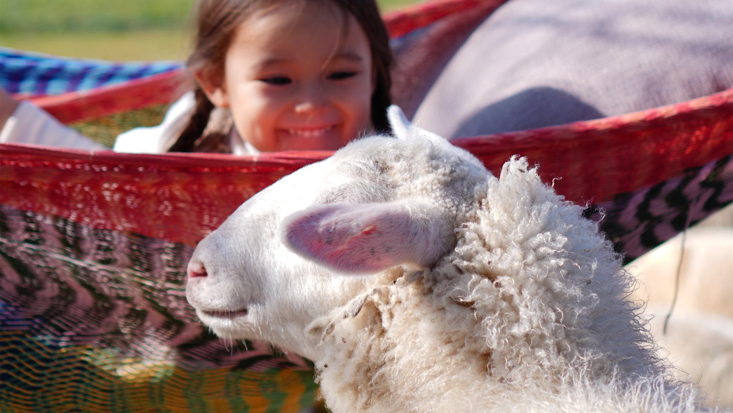 画像のaltを設定してください