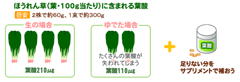ほうれん草(葉・100gあたり)に含まれる葉酸