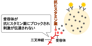 抗ヒスタミン薬