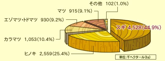 グラフ:日本の人工林に占めるスギの割合