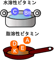 水溶性ビタミンと脂溶性ビタミン