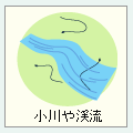 ブヨの幼虫は小川や渓流で発育