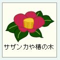 毛虫はサザンカや椿の木につく