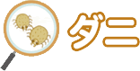 ダニ