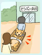 もしものときの応急手当